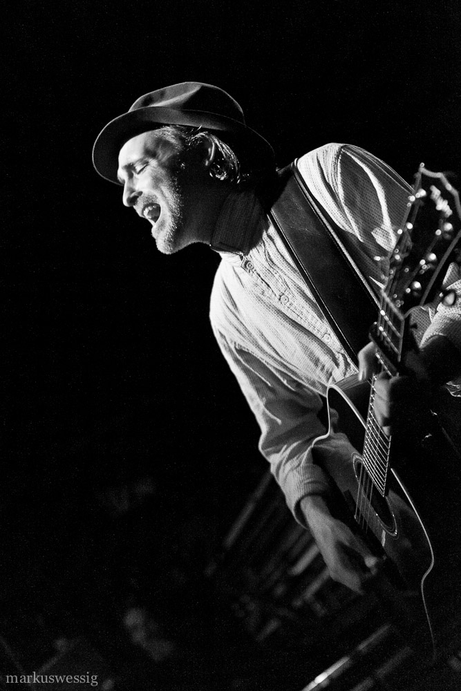 Fran Healy