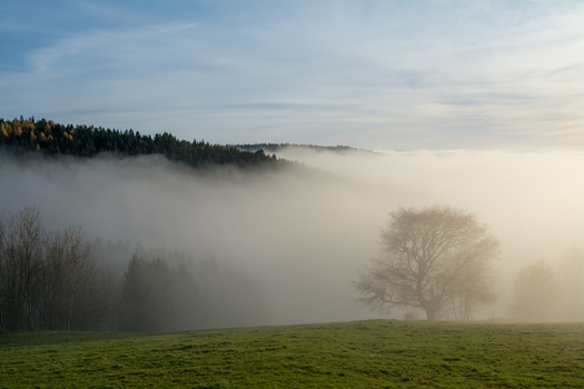 Herbstnebel