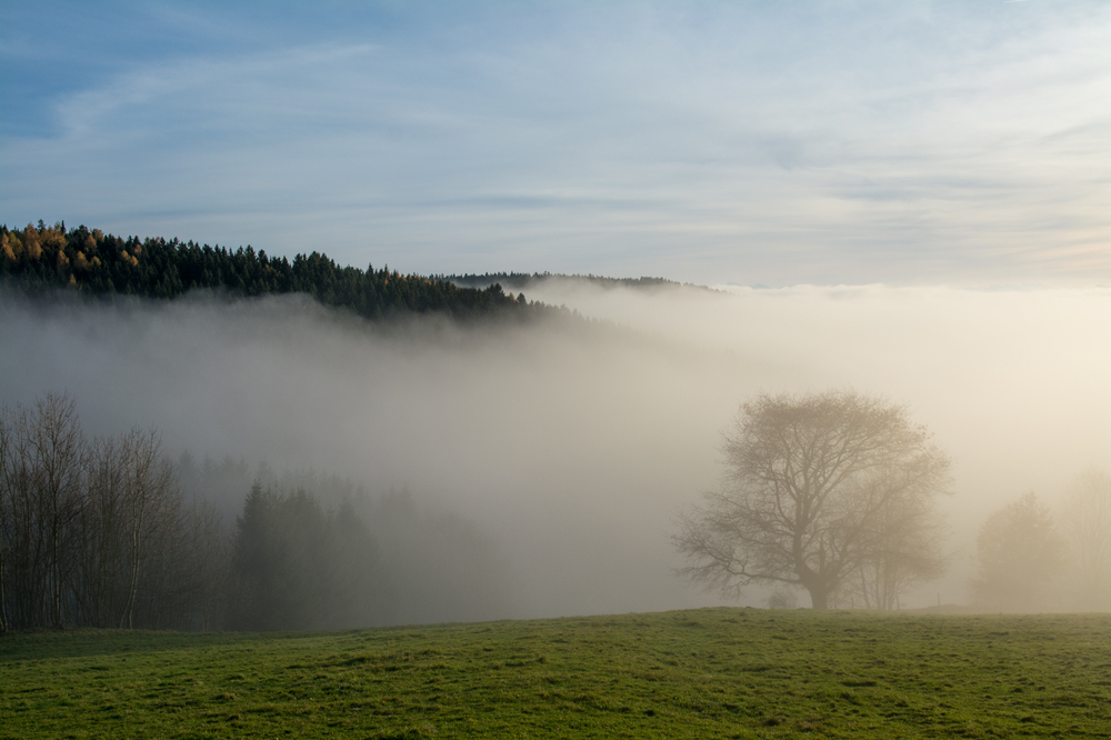 Herbstnebel