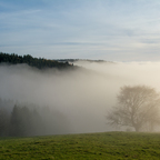Herbstnebel