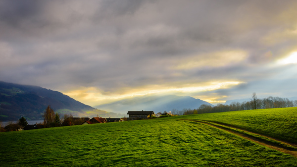 Blick auf den Mondsee