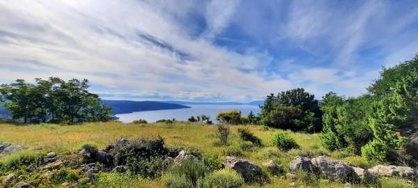 Zbičina / Cres / Kroatien