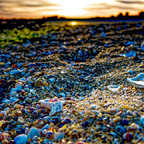 OnTheBeach(1)