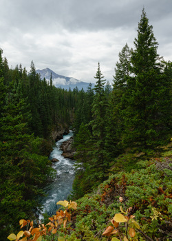 Wandern im Maligne Canyon