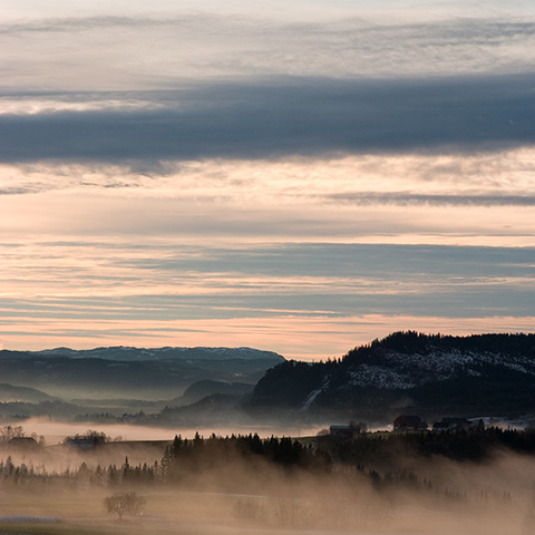 Nebel der letzte...