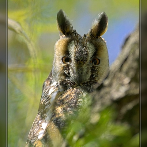 gut versteckt....