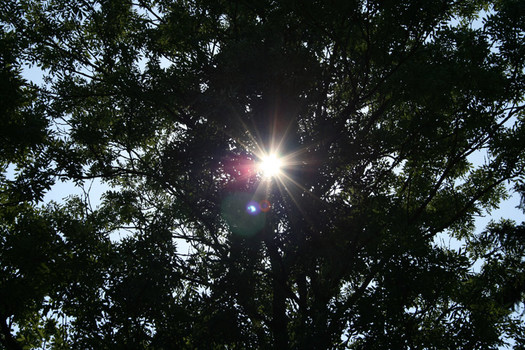 Here comes the sun