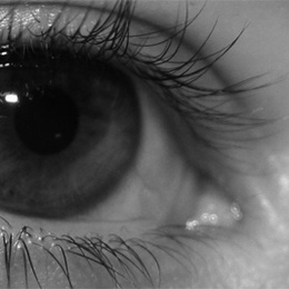 Eye