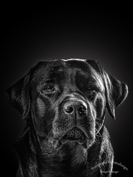 17-12-2019 Ares 4