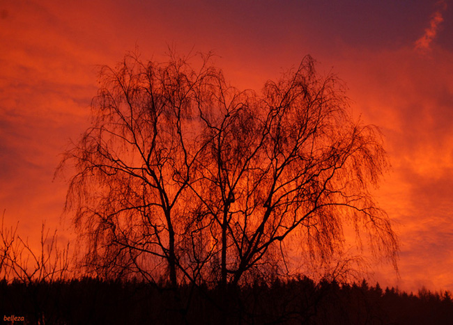 abenddämmerung2