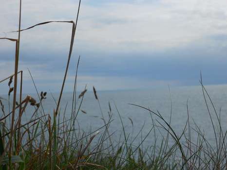 Ausblick ins Meer