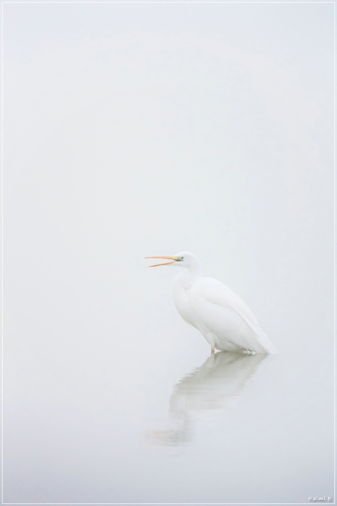 High-Nebel-Key