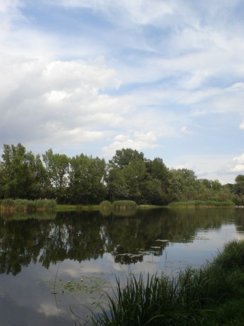 Natur pur