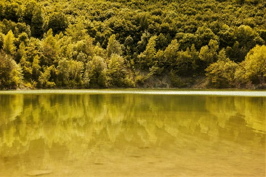 see 2