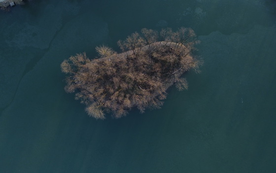 Insel im Eis