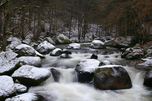 Der erste Schnee 02