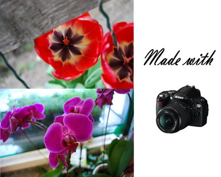 Erste Bilder mit D60