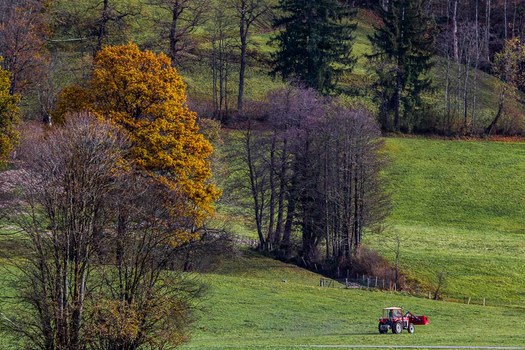 Herbst in Tirol