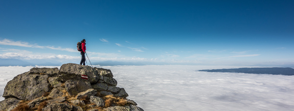 König der Welt