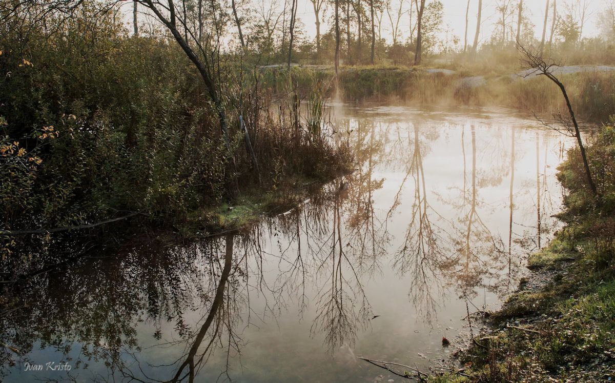 Leichte Nebel