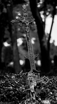 Broken faith!