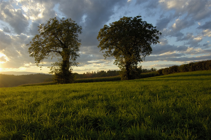 Sonnenstimmung part III