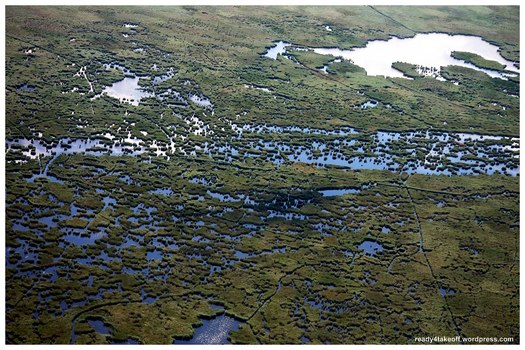 Everglades im Burgenland