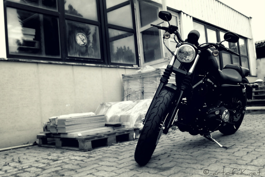 Harley Davidson Iron 883