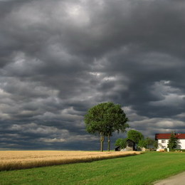 Am Land