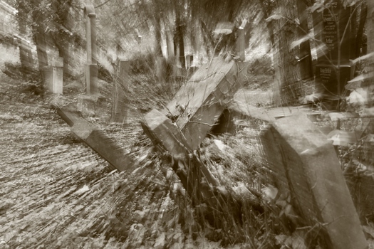 verfall