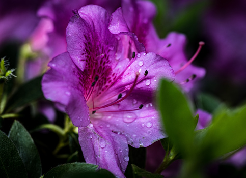 Farben der Natur