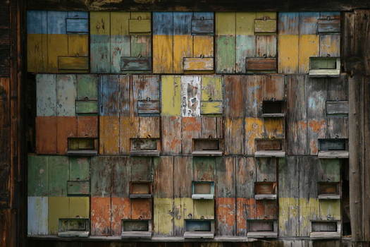 Bienenstock