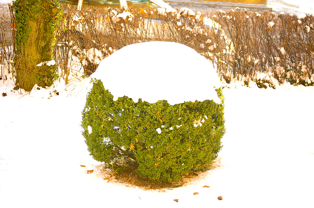 Winter 2010