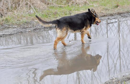 Sie mag Wasser