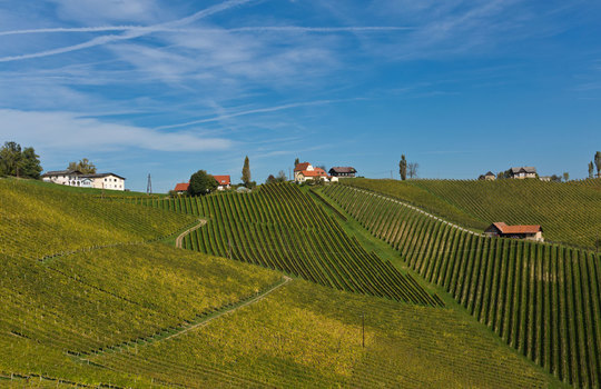 Schilcherland