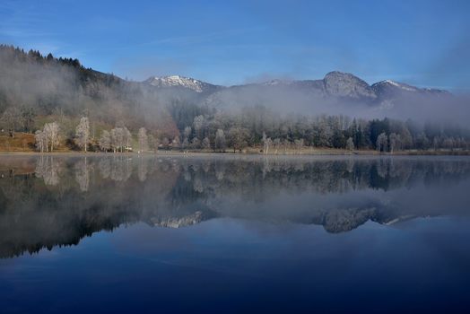 Morgenfrost 3
