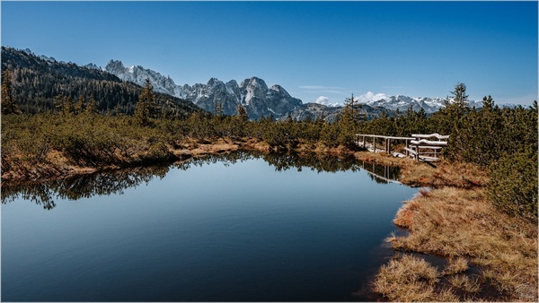 Am Hochmoor mit Blick zum Gosaukamm