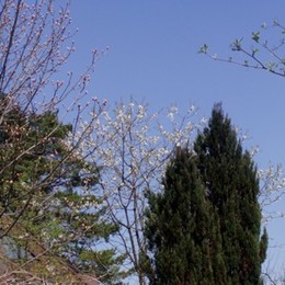 Zauber des Gartens