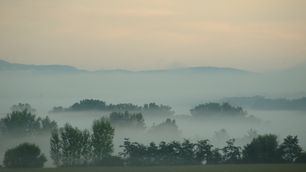 früh Morgends