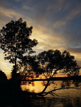 Sonnenuntergang an der Donau