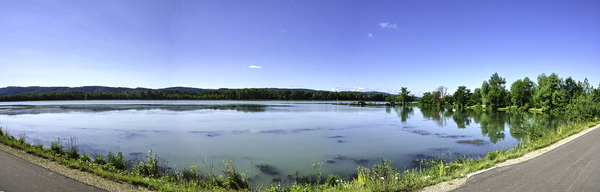 Donaupanorma