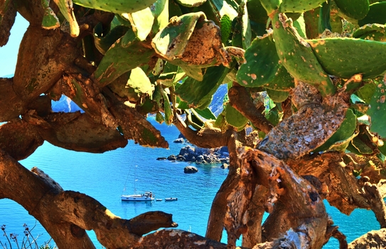 Paralia Kastro / Skiathos / Griechenland (3)