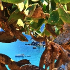 Paralia Kastro / Skiathos / Griechenland (3)