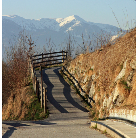 Frühlingsspaziergang im Zillertal