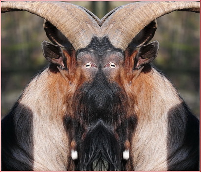 Krampus
