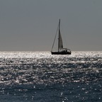 Sail away