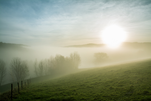 Herbstnebel 3