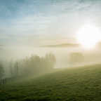 Herbstnebel 3
