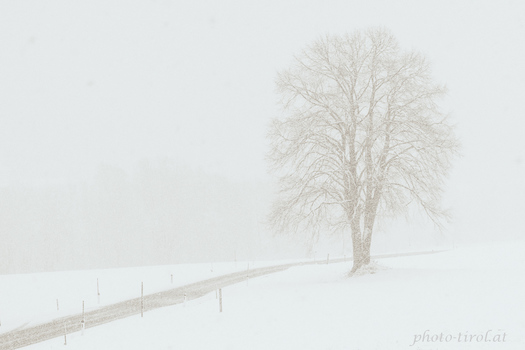 let it snow