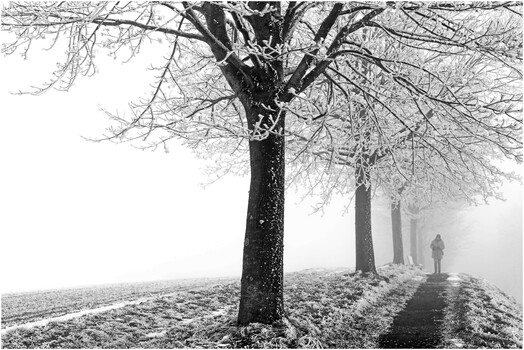 Im Nebel